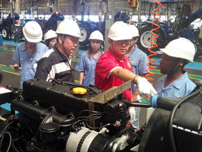 中国农业大学新闻网 学校要闻 骄阳下的农大人 图文